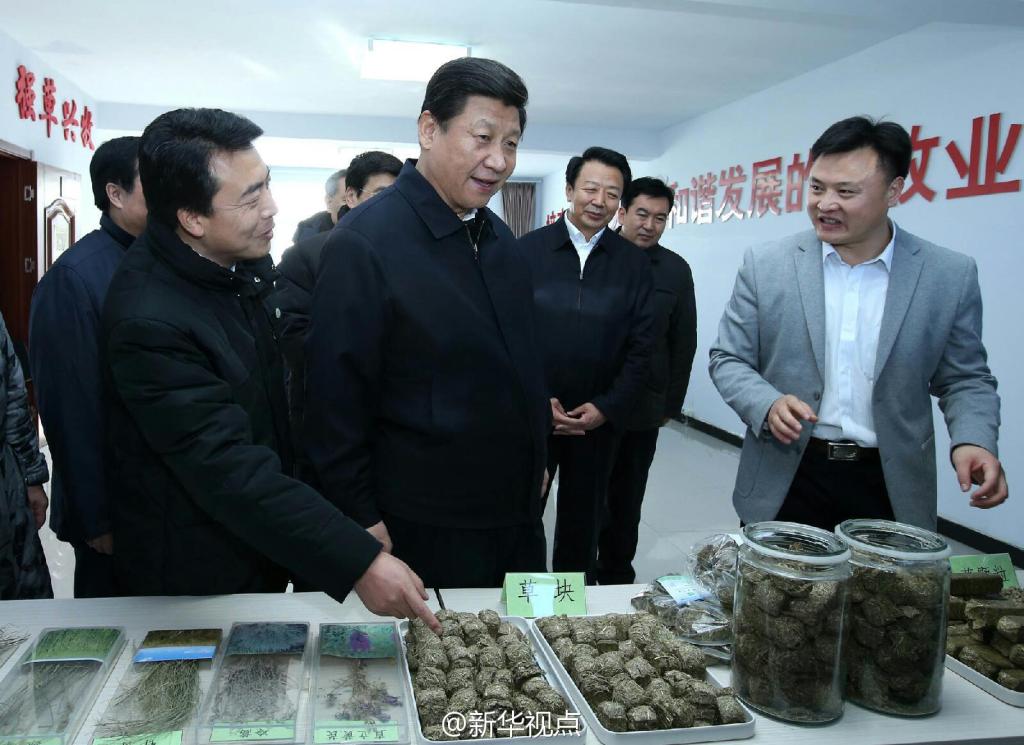 習總書(shū)記視察會(huì )員單位——草都農牧業(yè)發(fā)展有限責任公司毛登牧場(chǎng)飼草產(chǎn)業(yè)基地